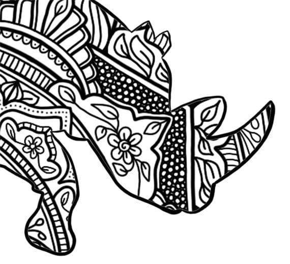 The african big five colouring pack