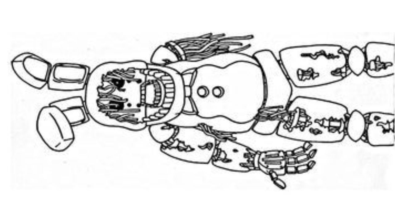 Fnaf coloring page by angeladesalvatore on