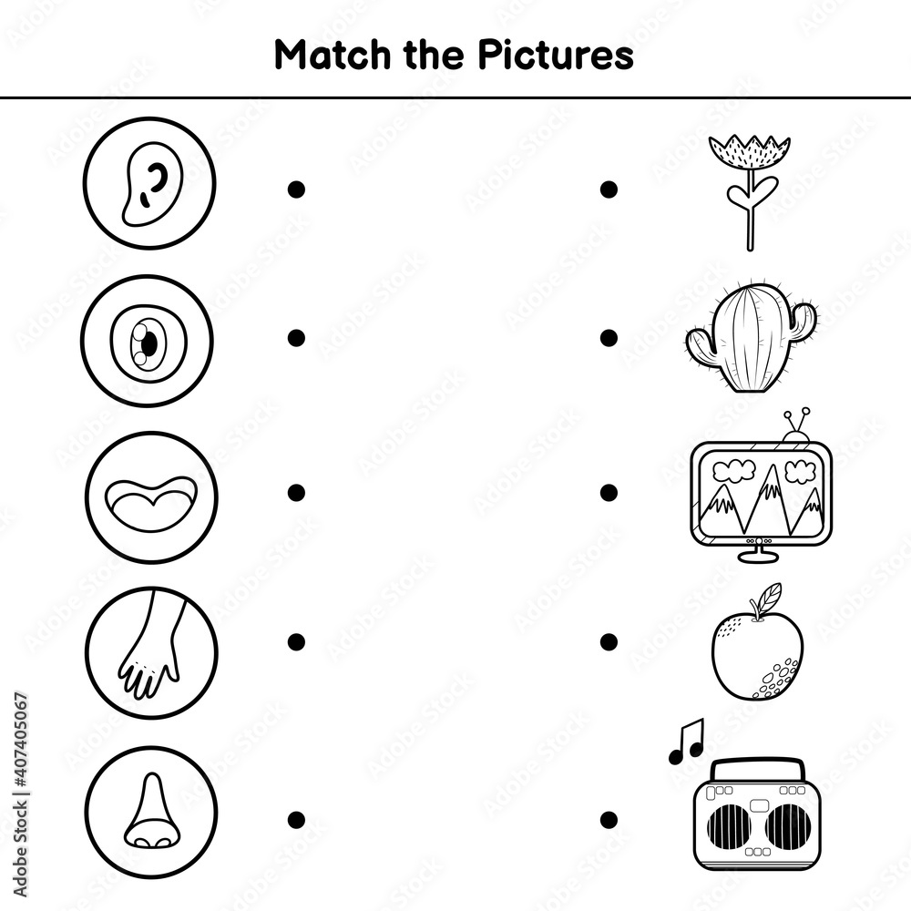Five senses matching game for kids sight touch hearing smell and taste match the pictures activity page learning body parts black and white coloring page vector illustration vector