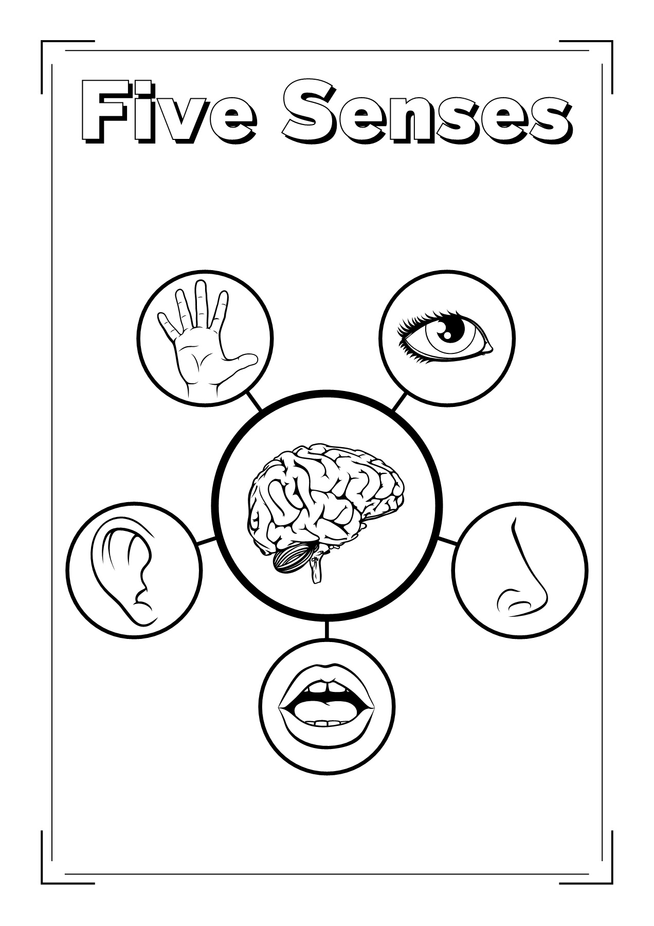 Five senses