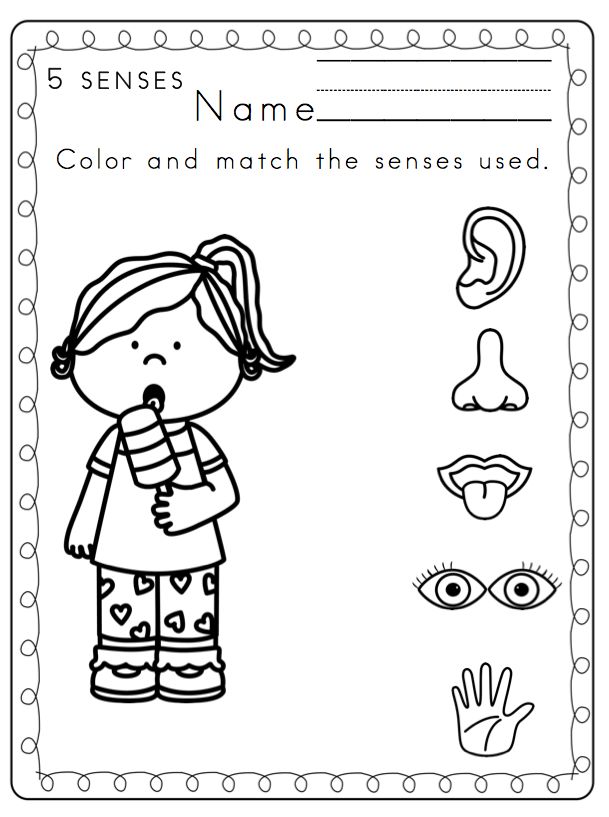Kindergarten worksheets senses preschool kindergarten worksheets printable