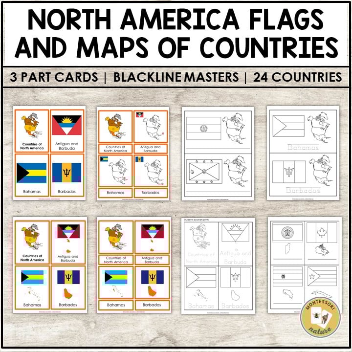 Flags of north america