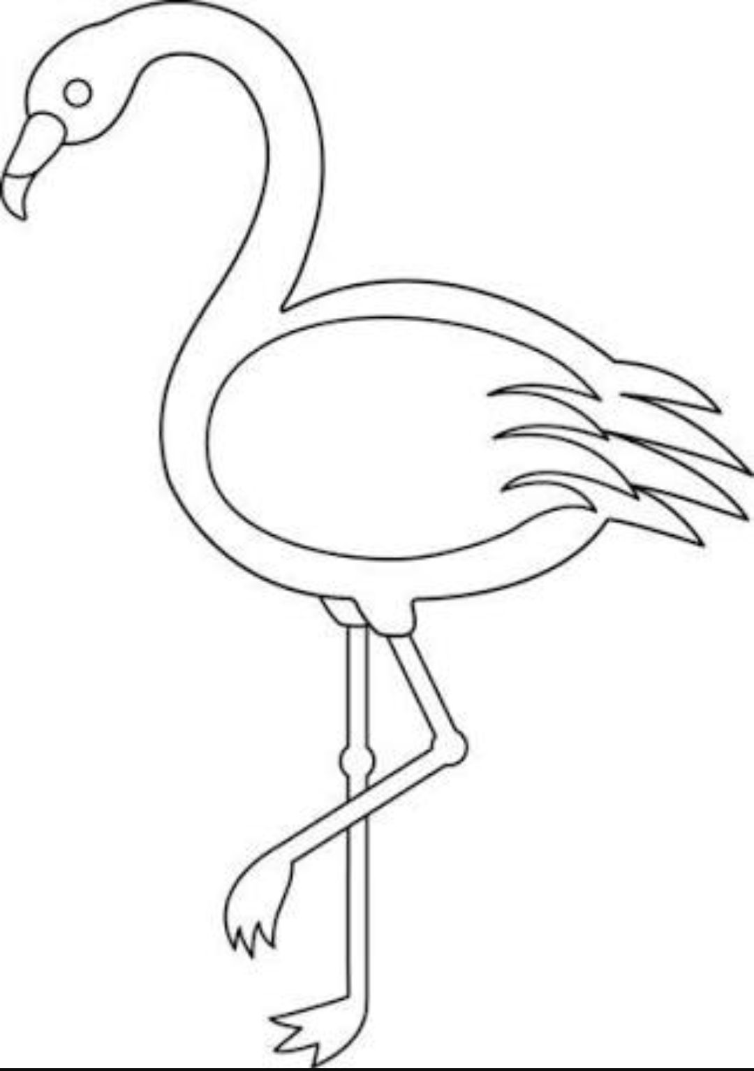 Flamingo craft flamingo coloring page flamingo color
