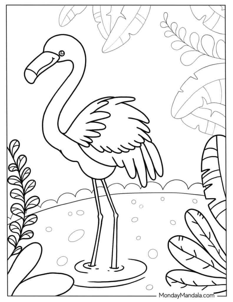 Flamingo coloring pages free pdf printables