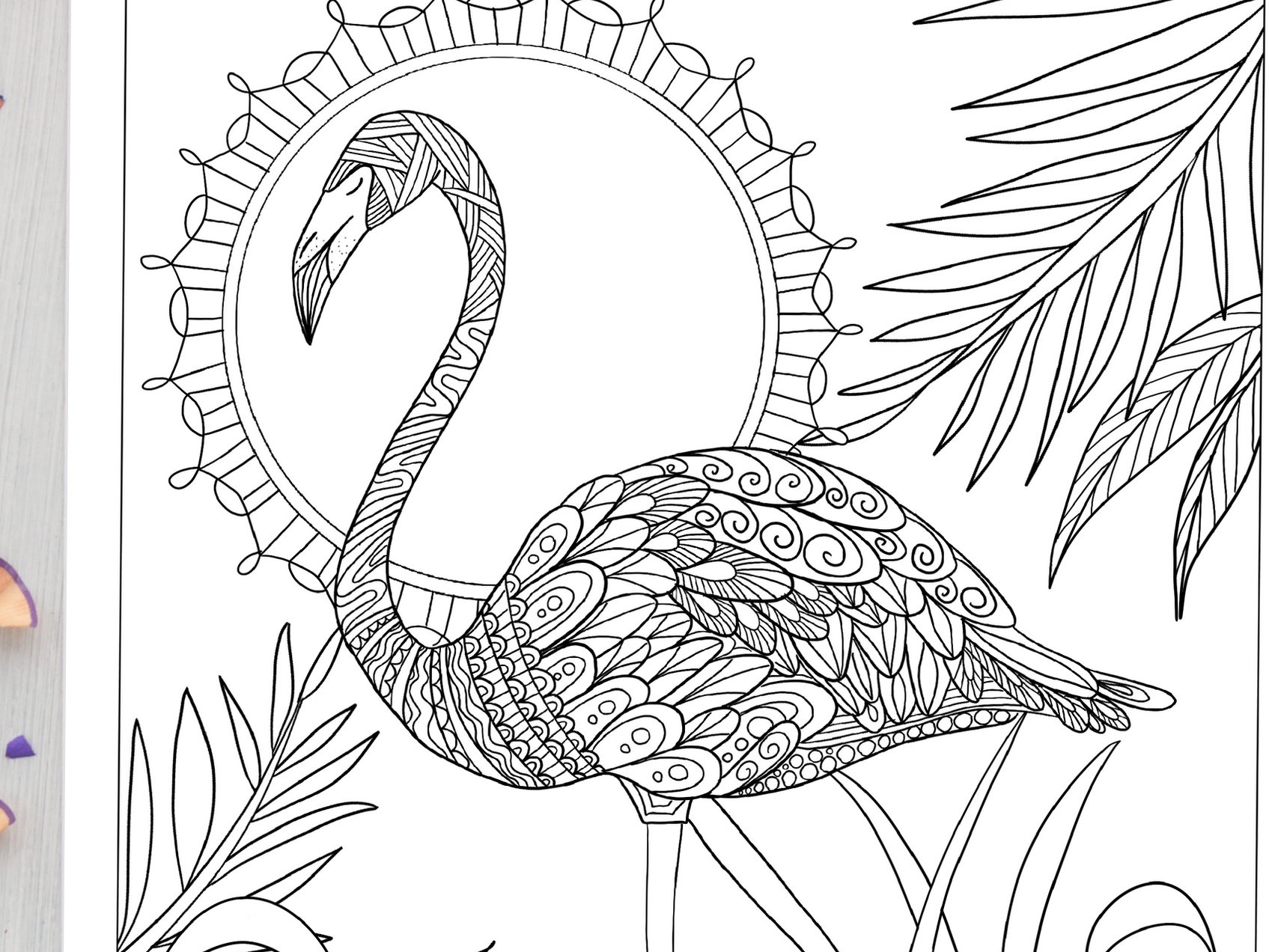 Fancy flamingo coloring sheet for adults and kids cute flamingo coloring page doodle digital download printable coloring page instant download
