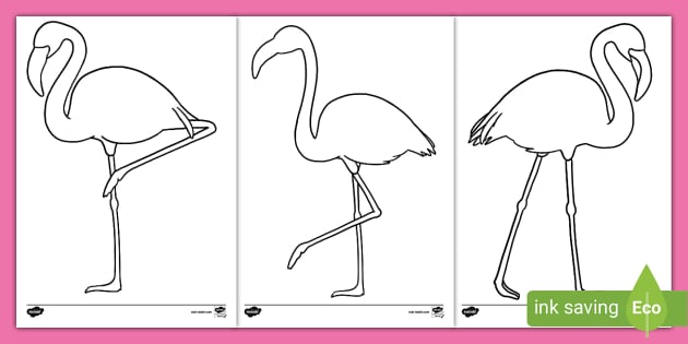 Flamingo outline templates teacher made