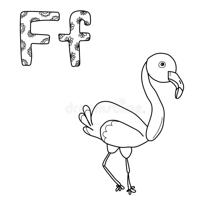Coloring page for study letter f outline illustration of flamingo and volumetric letters with patterns stock vector