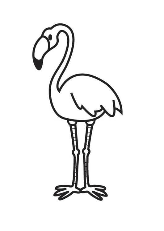 Flamingo for free coloring page