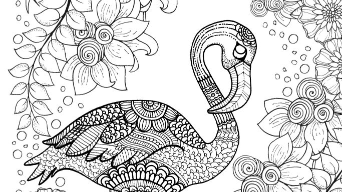 Free flamingo colouring page for adults flamingo coloring page detailed coloring pages coloring pages