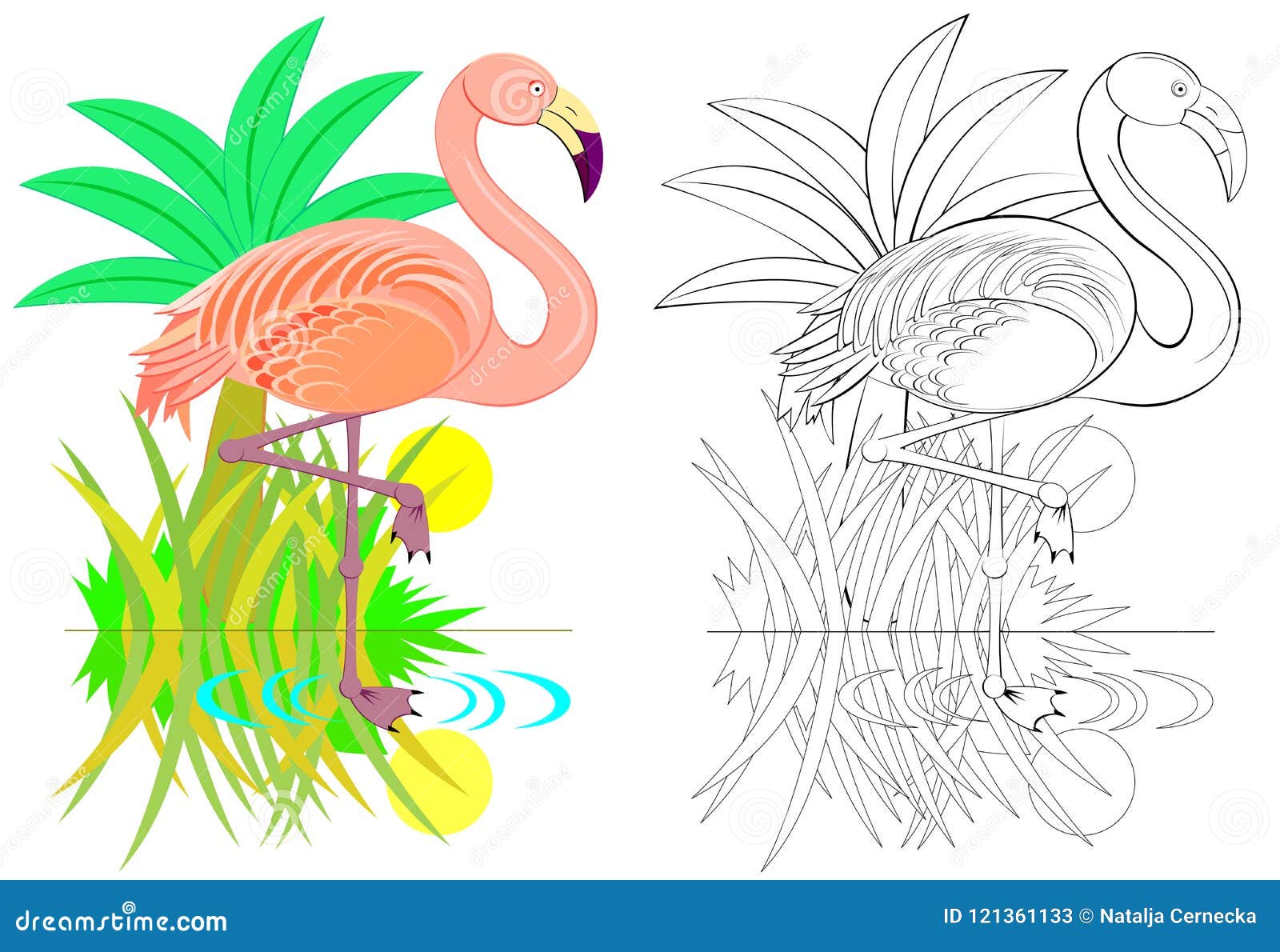 Colorful and black and white pattern for coloring illustration of cute flamingo worksheet for children and adults stock vector