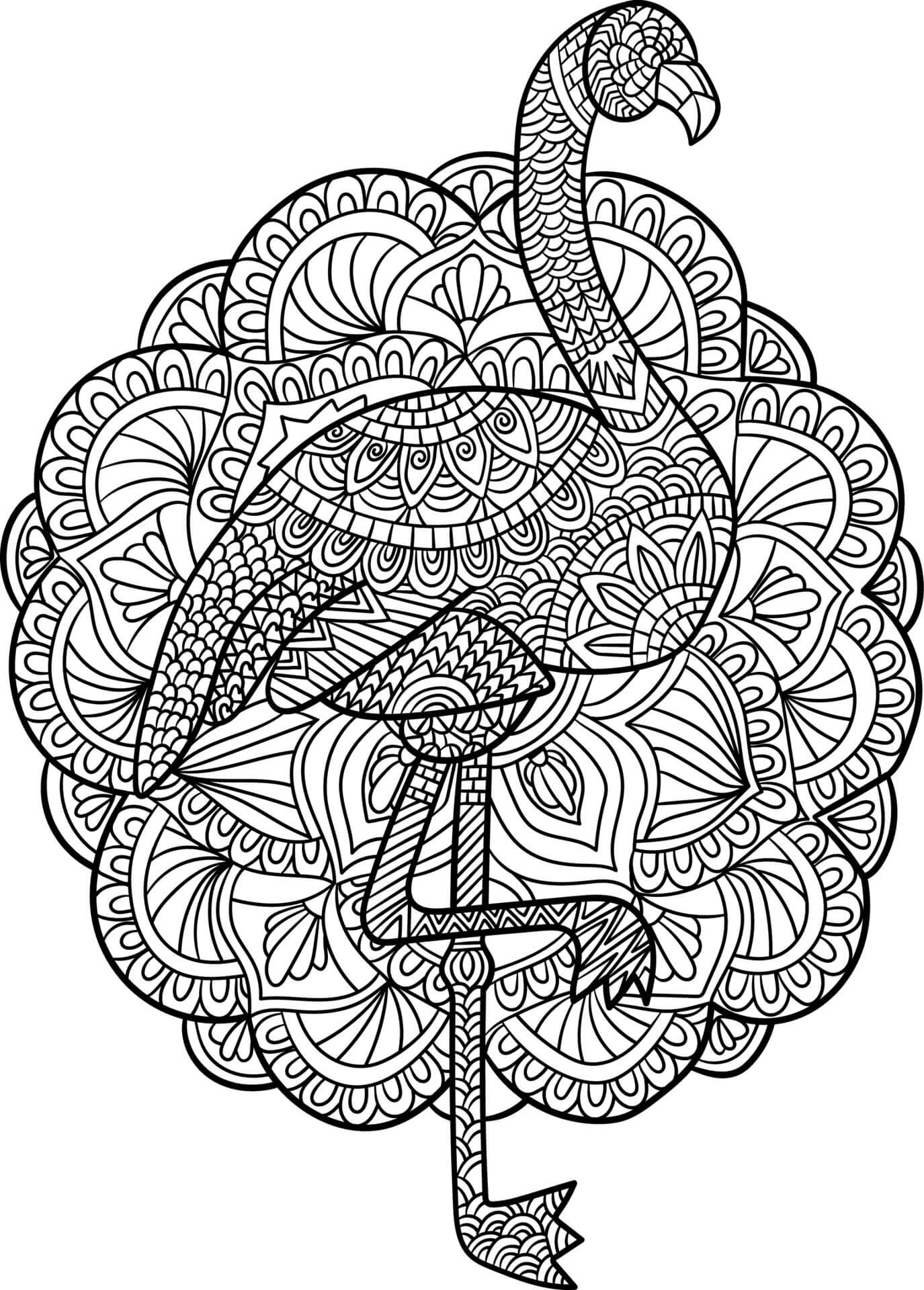 Basic flamingo mandala coloring page