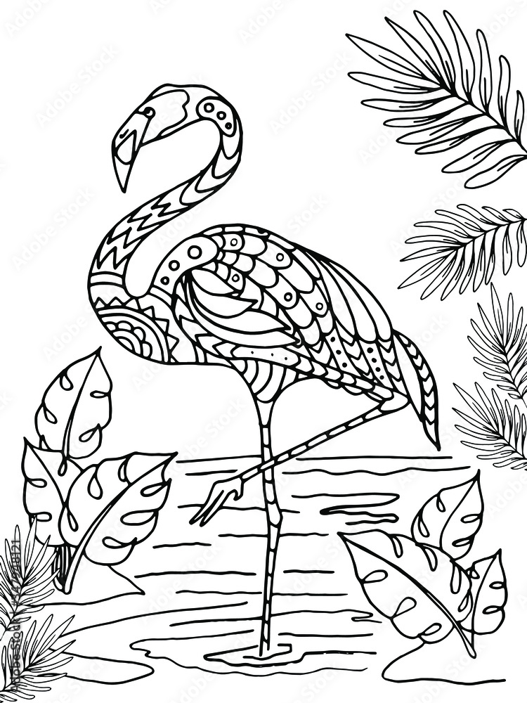 Flamingo coloring book hand