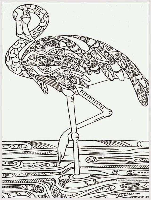 Inspired picture of flamingo coloring pages