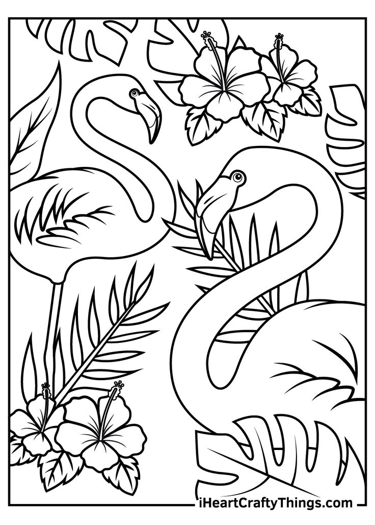 Flamingos coloring pages bird coloring pages flamingo coloring page summer coloring pages