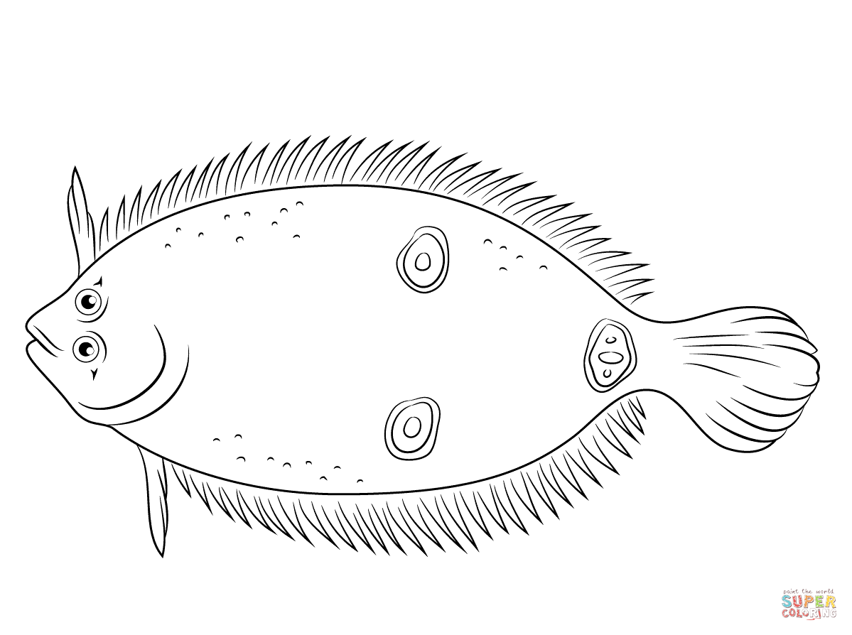 Three eye flounder coloring page free printable coloring pages