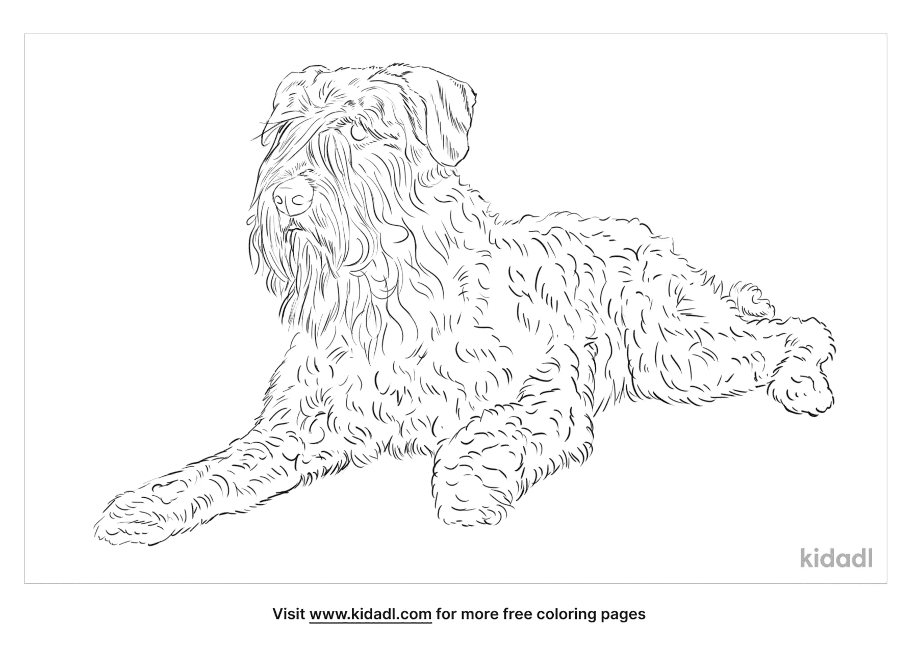 Free bouvier des flandres coloring page coloring page printables