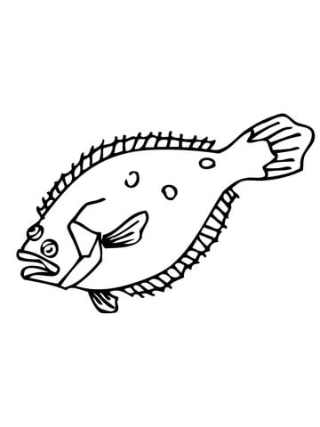 Flounder coloring page free printable coloring pages