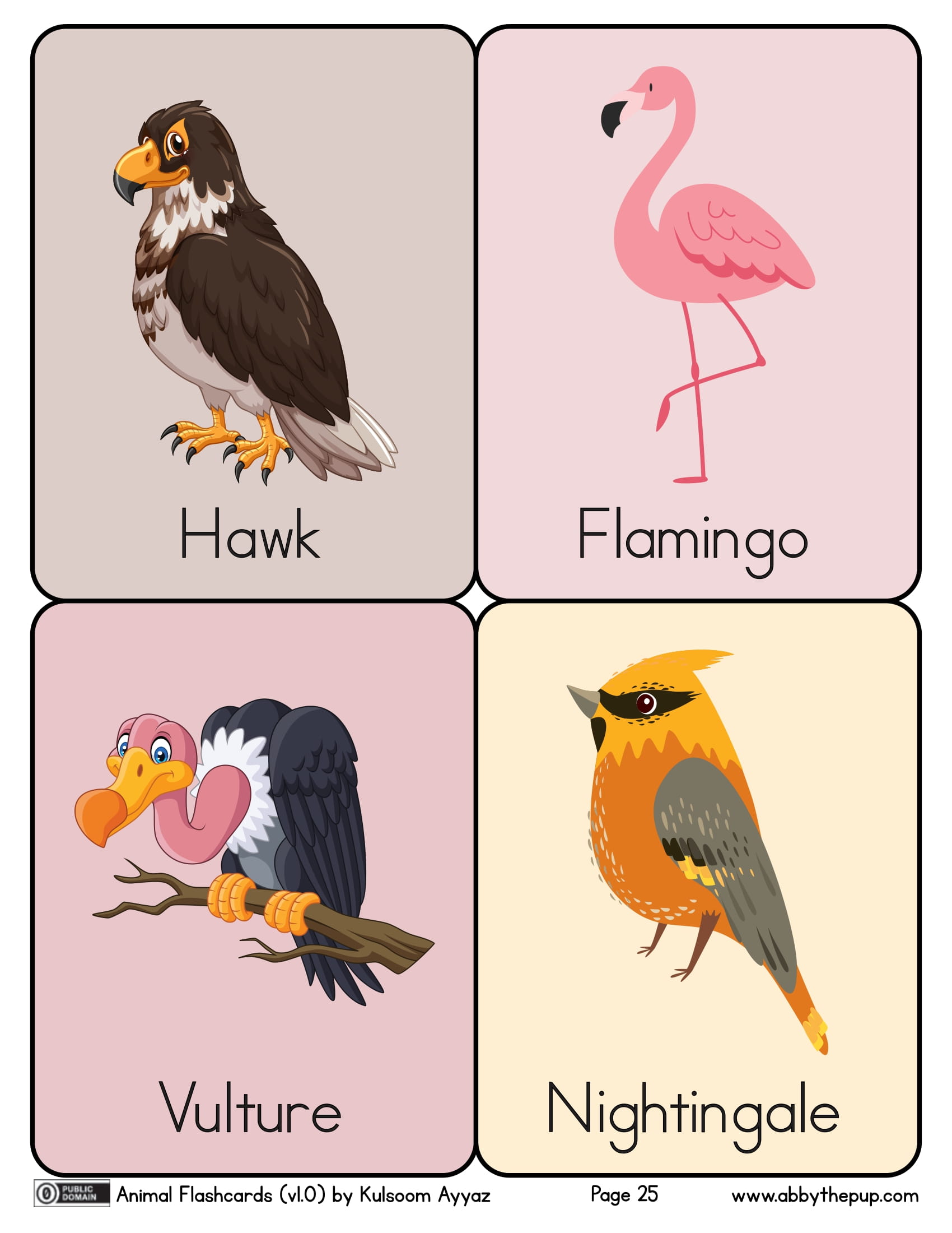 Birds flashcards free printable papercraft templates