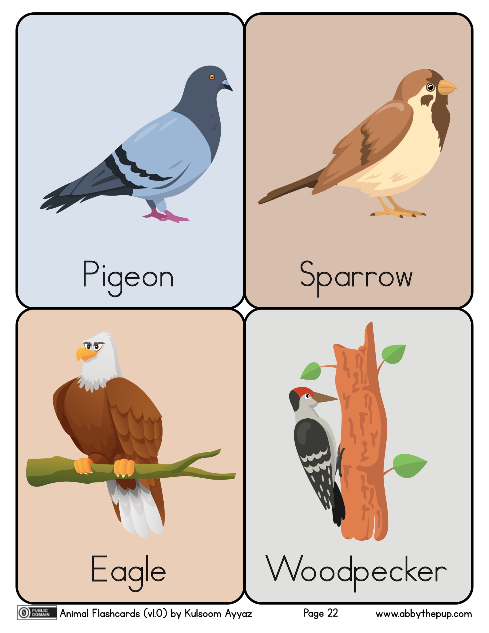 Birds flashcards free printable papercraft templates