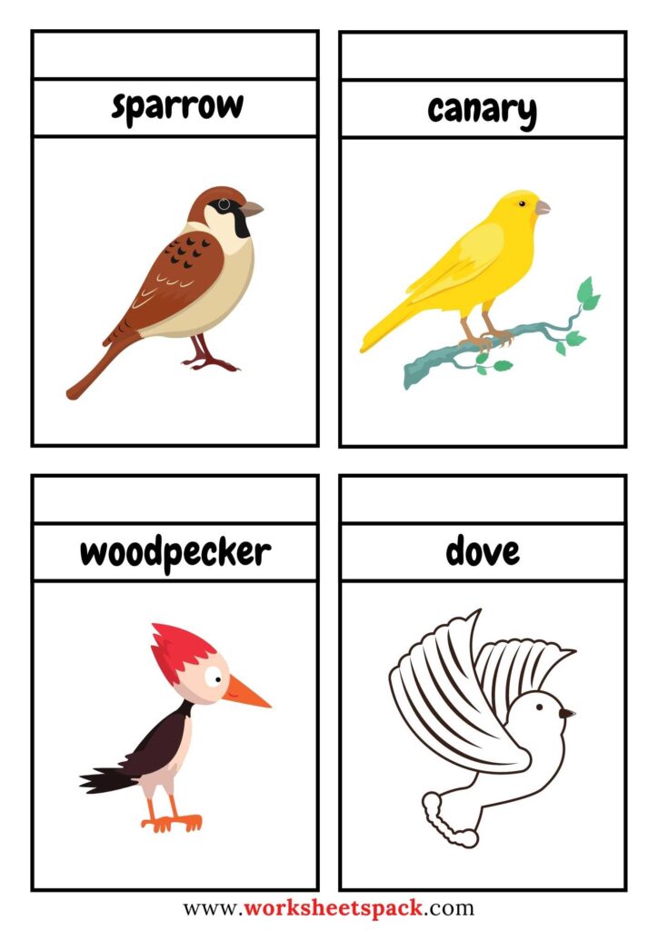 Free printable birds flashcards pdf