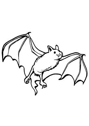 Flermaus malen