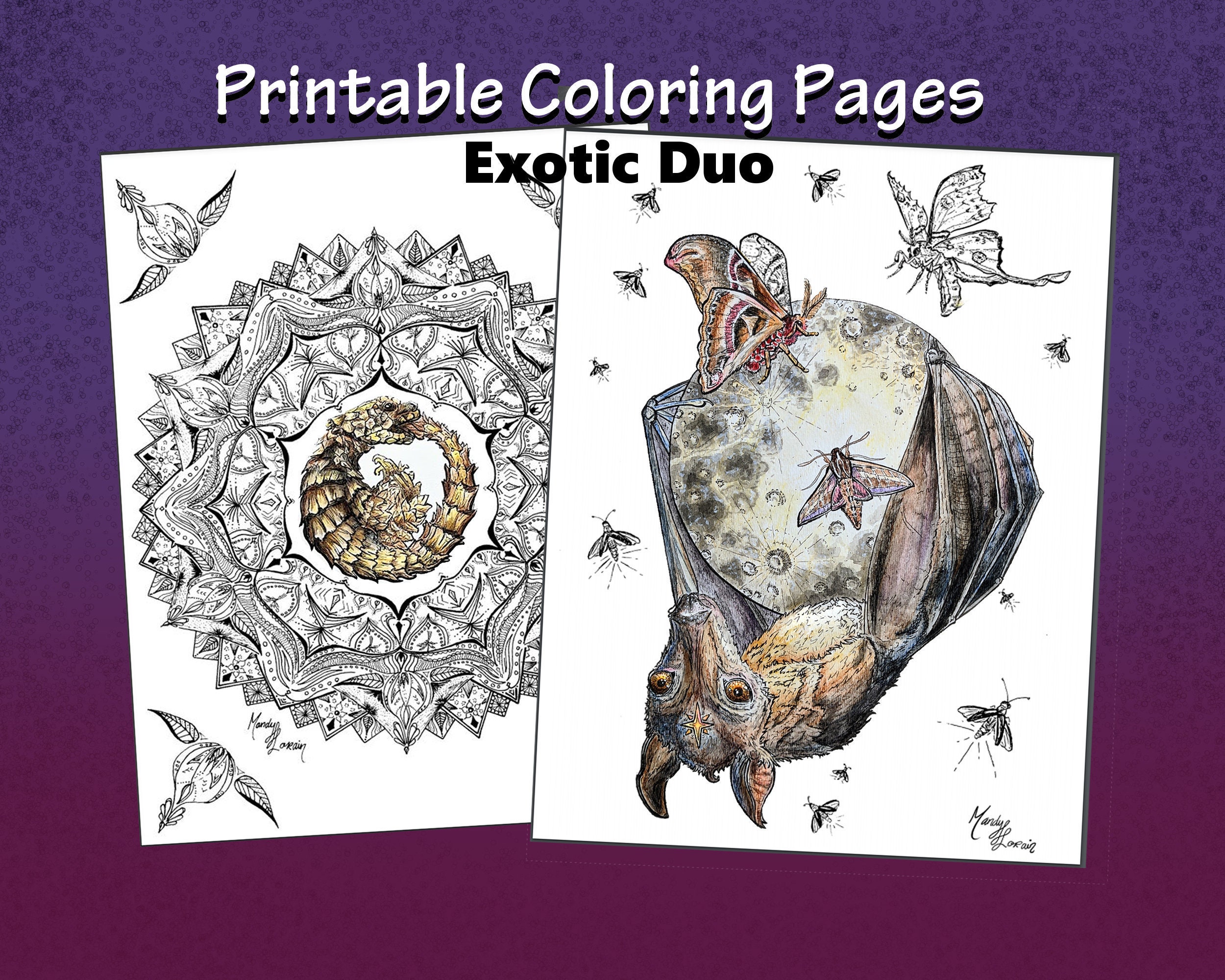 Ausmalbild fãr erwachsene fledermaus eidechse mandala pdf zum ausdrucken fliegender fuchs fledermaus mond zeichnung wildes tier tier malseite motte kunst