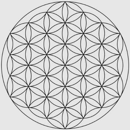 Signification de la fleur de vie et de la gãomãtrie sacrãe