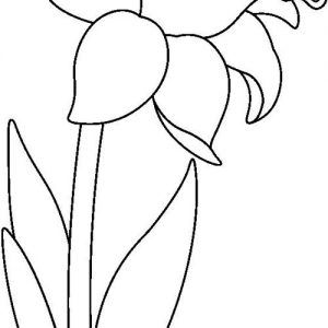 Dibujo de campanilla flor para imprimir dibujos de flor imprimir sobr