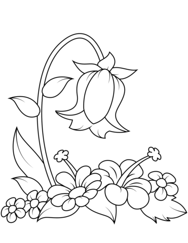 Bellflower coloring page free printable coloring pages