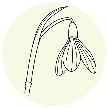 Pegatina for sale con la obra ilustraciãn de flor de campanilla de invierno de ali juntunen