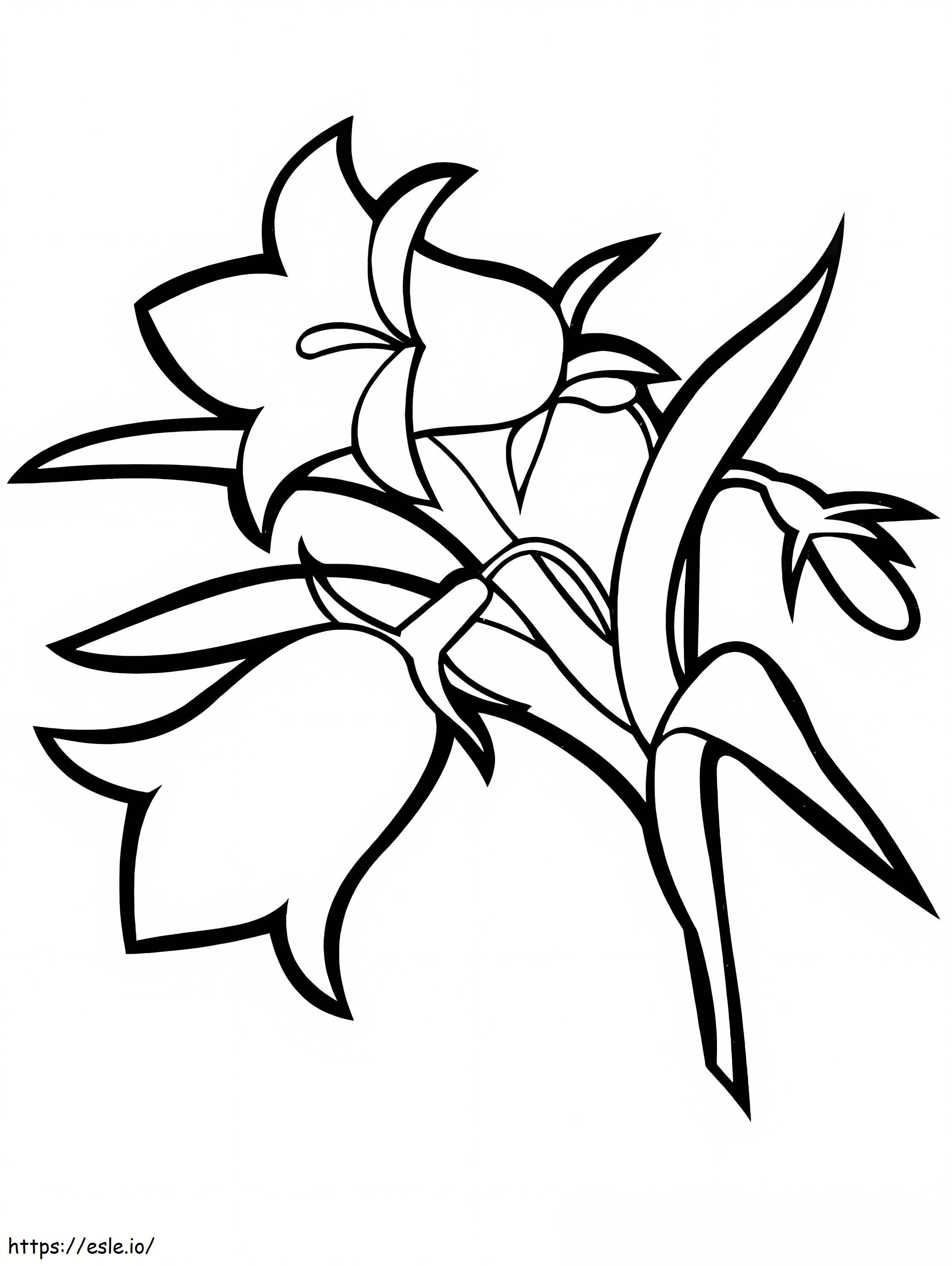 Campanilla flores para colorear