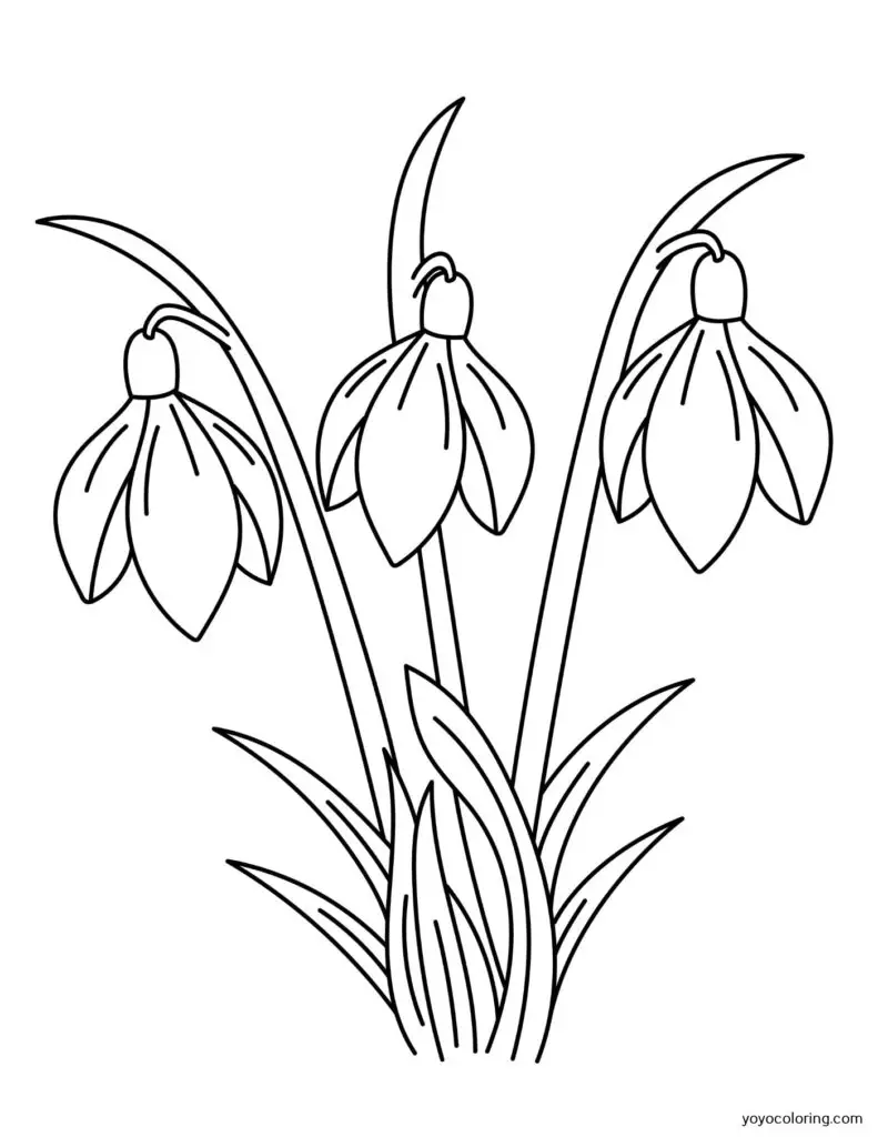 Snowdrops para colorear á plantilla de pintura imprimible