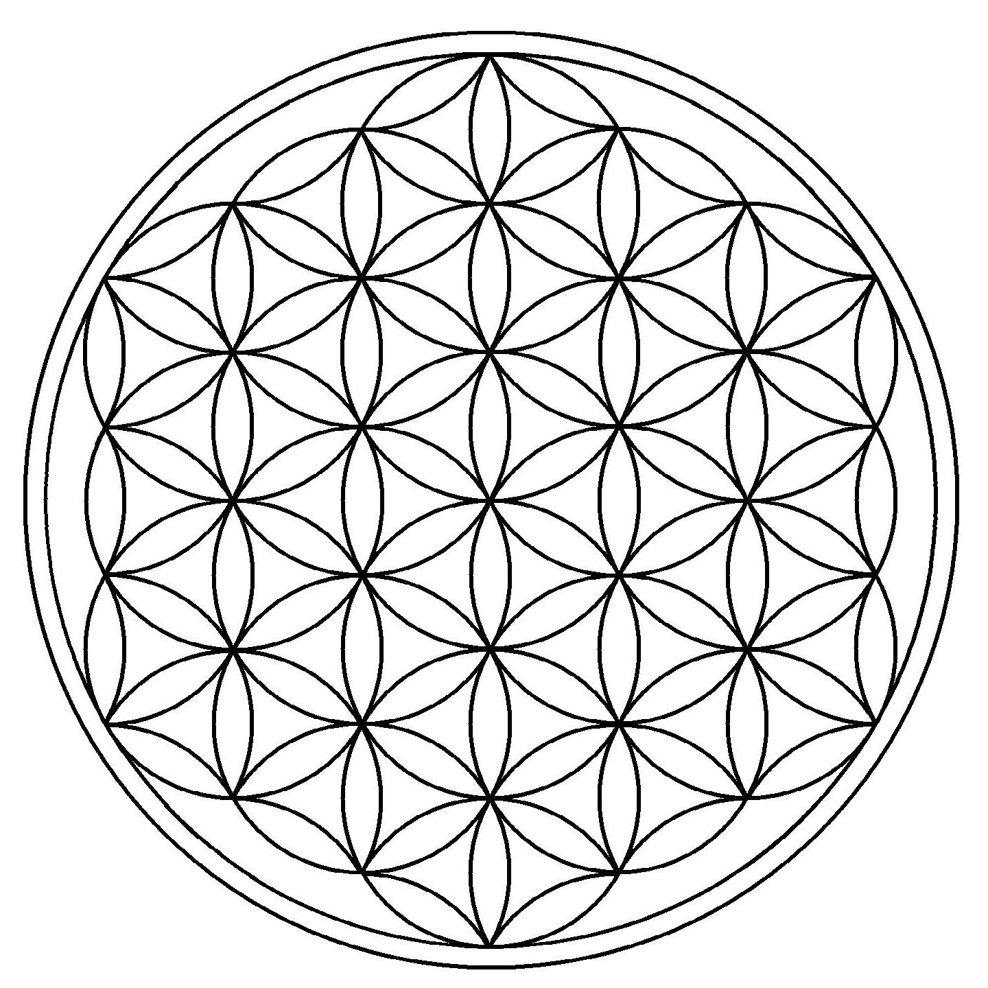 La flor de la vida pdf