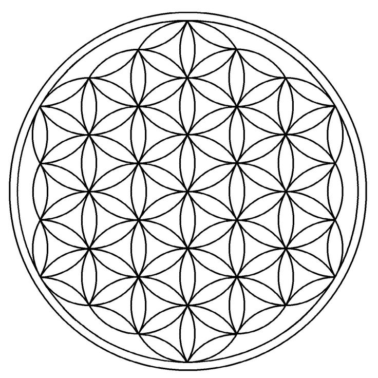 La flor de la vida pdf