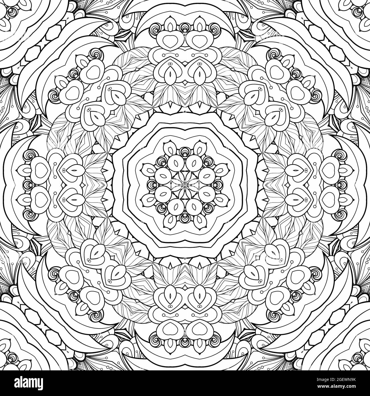 Patron en blanco y negro para colorear flor y hojas geometrãa hermoso fondo de papel planta libro para colorear fotografãa de stock