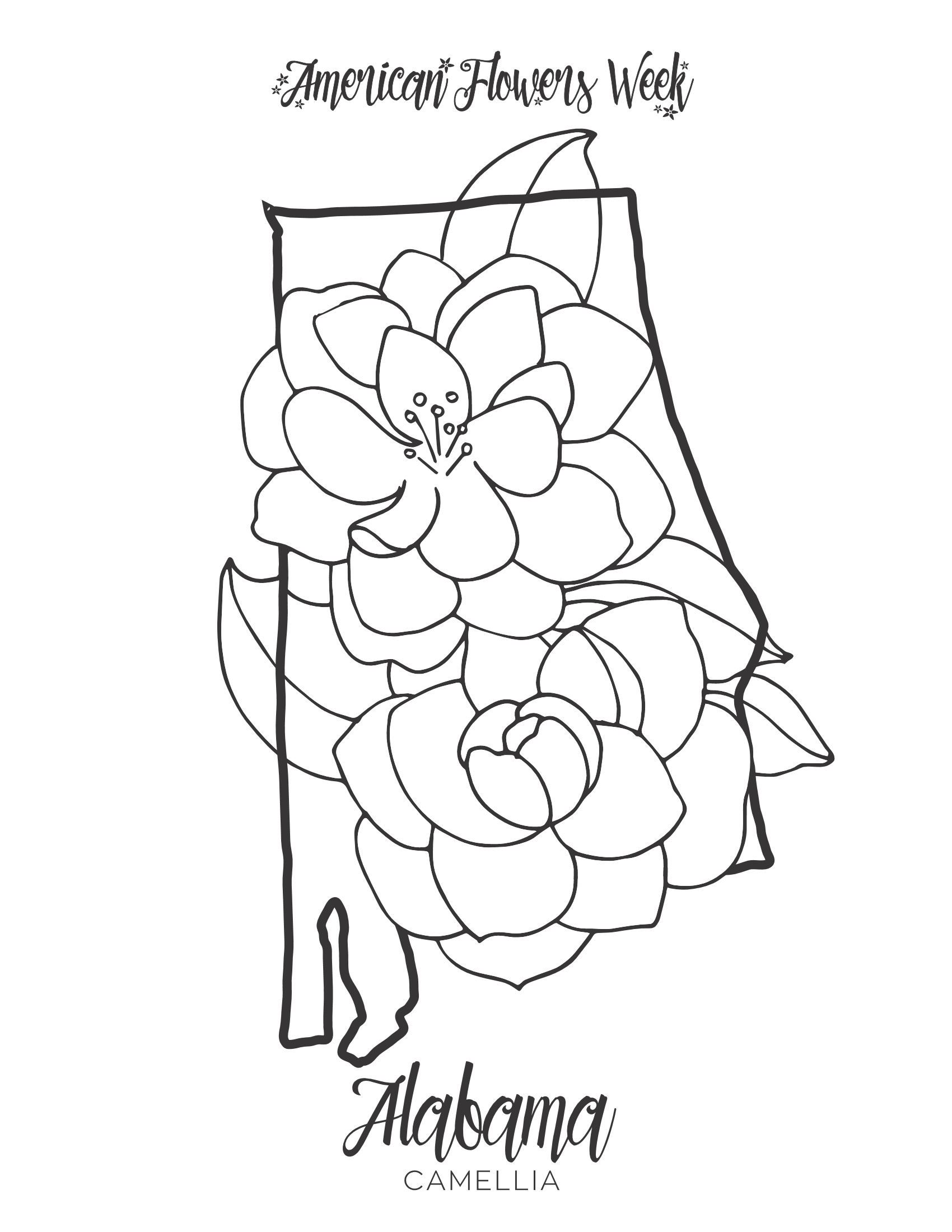 State flowers â free coloring pages â american flowers week