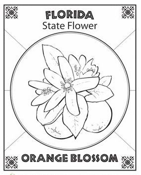 Florida state symbol coloring pages