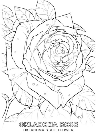 Dibujo de flor nacional de oklahoma para colorear dibujos para colorear imprimir gratis