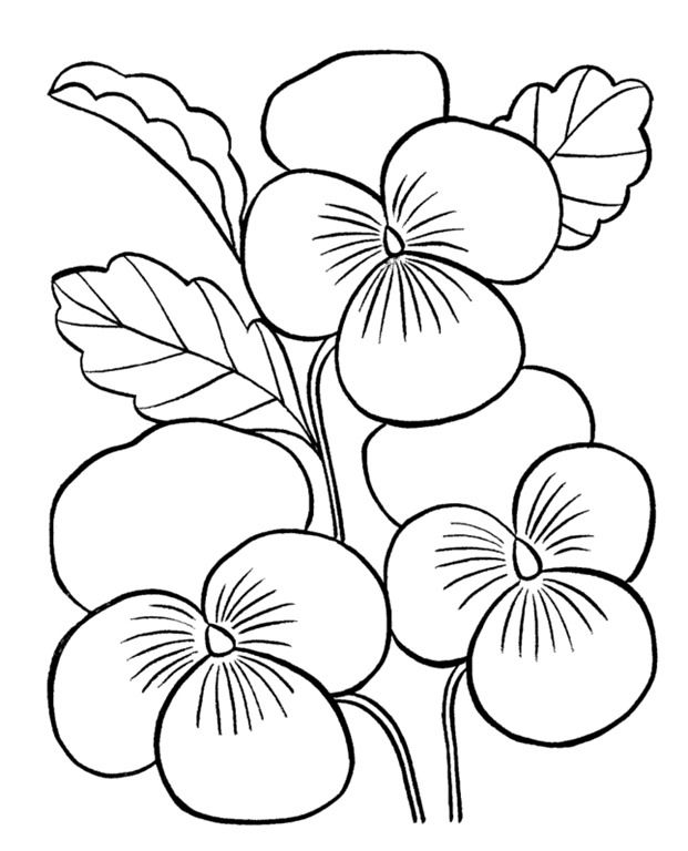 Desenhos de flores pa colorir e imprimir