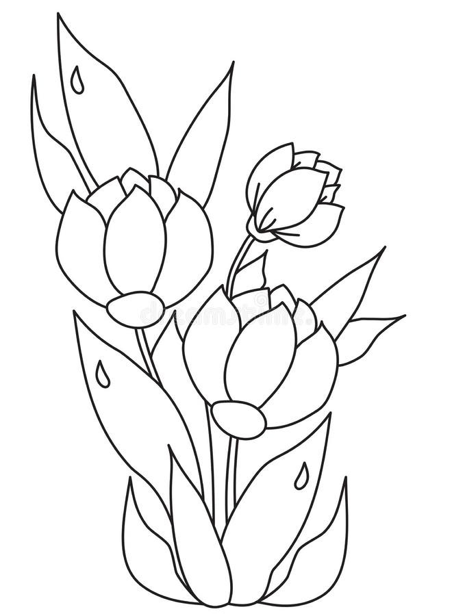 Bouquet of beautiful spring flowers with leaves with dew drops vector drawing black line outline on a white background stock vector