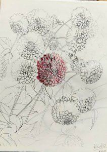 Drawings flowers original drawings flowers