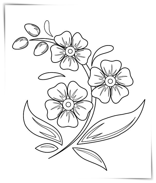 Hermosas imãgenes de flores pa colore pa que los mãs chicos se puedan divertir pintando a â easy flower drawings flower drawing beautiful flower drawings
