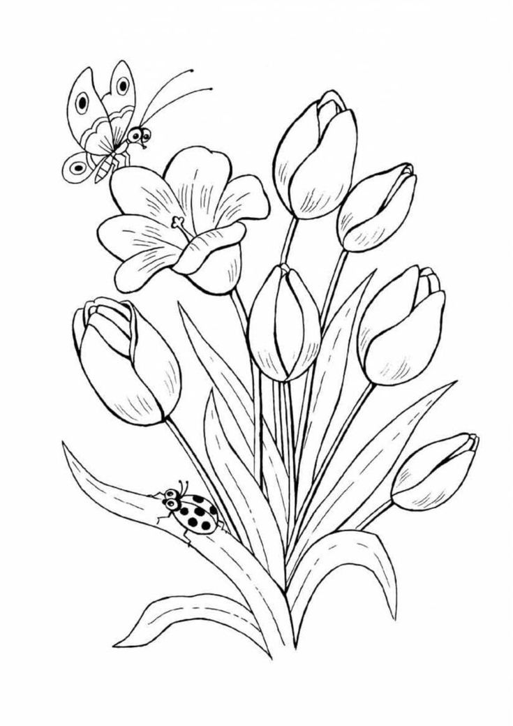 Dibujos de flor para colorear