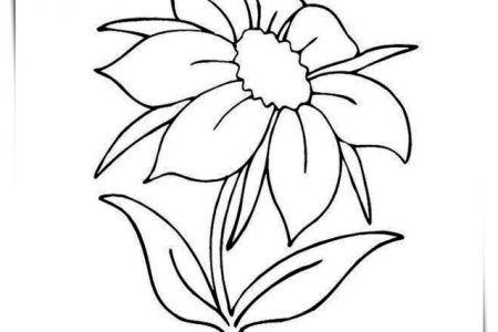 Como colorear flor secas a dibujos de flor sencillos pãginas para colorear de flor doodl de flor