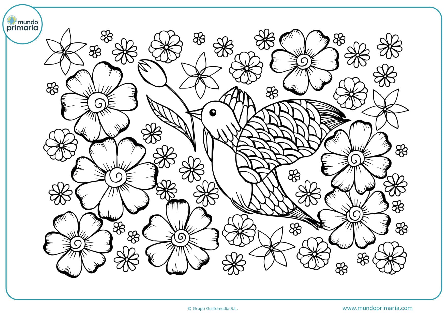 Dibujos de flores para colorear ãbonitas y fãciles de pintarã