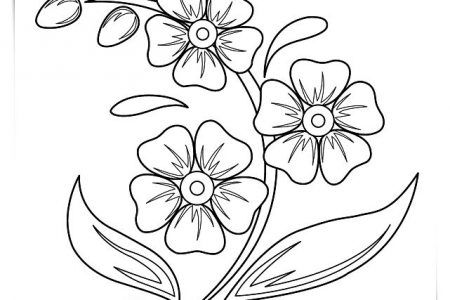 Flor dibujos wallpaper a easy flower drawings flower drawing beautiful flower drawings