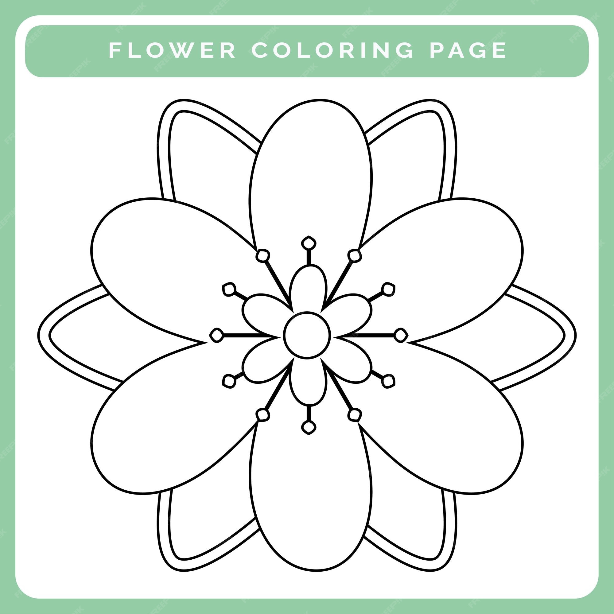 Desenhos para colorir flores para imprimir vetor premium