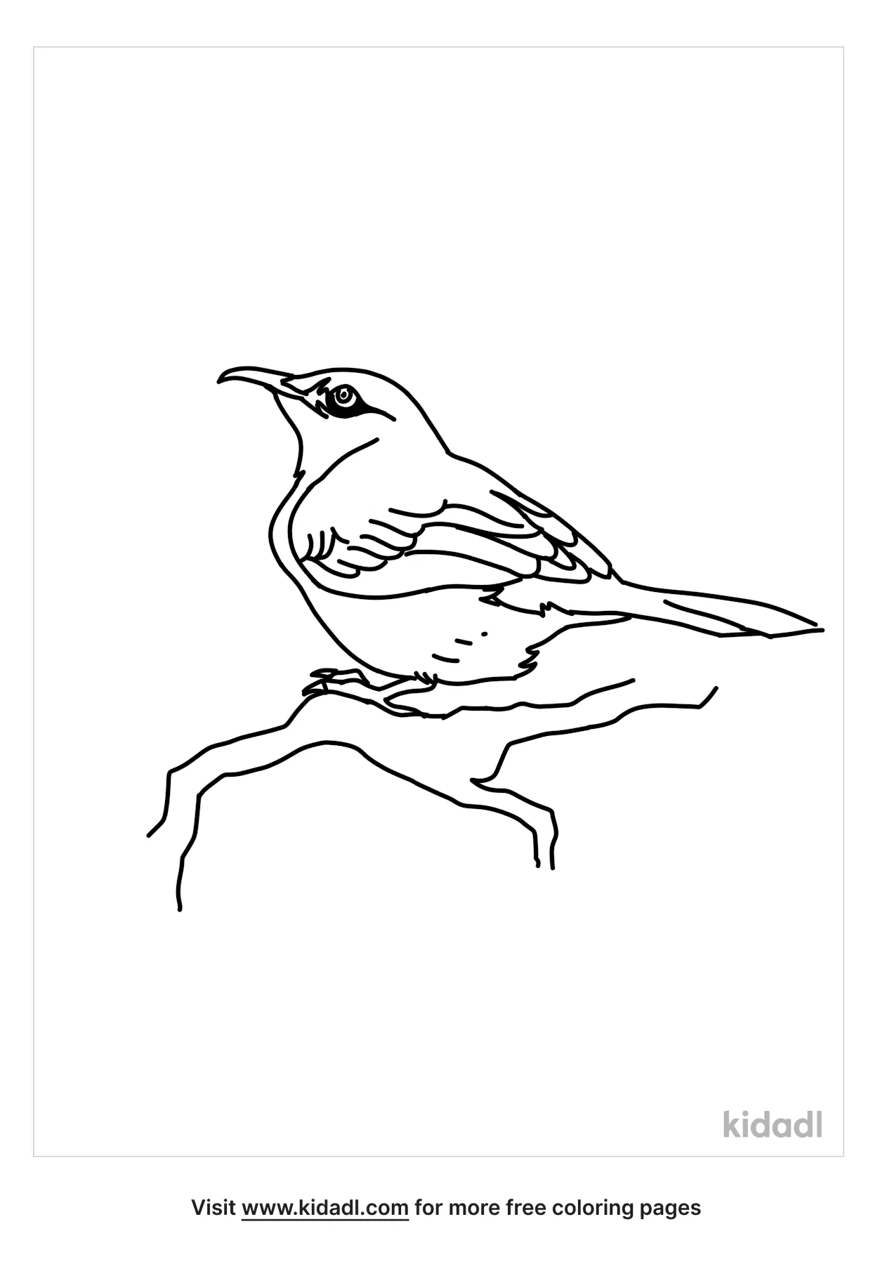 Free florida state bird coloring page coloring page printables