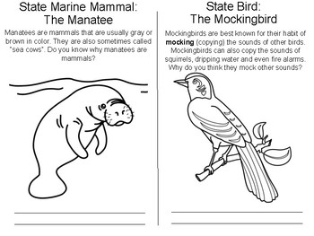 Florida state symbols coloring booklet by resources to the rescue