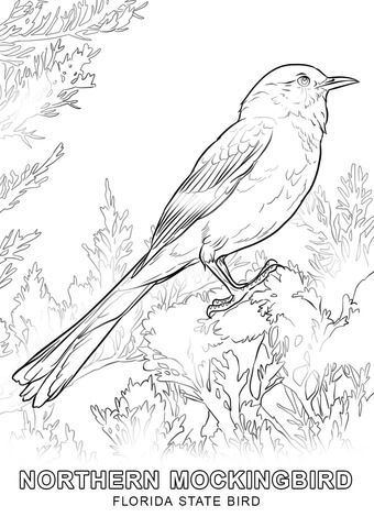Florida state bird coloring page from florida category select from printable crafts of cartoons nature animalsâ bird coloring pages coloring pages bird